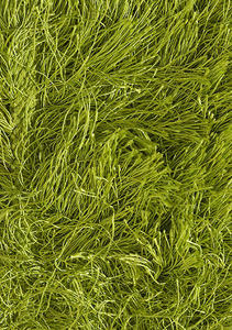 Name:Tantra Wave Pistachio Shag Rug, Item id:20_ss_pistachio (Medium Image)