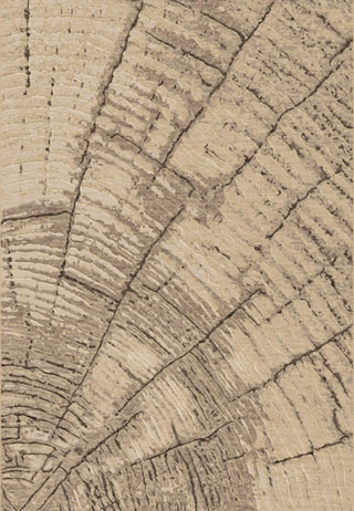 Name:Eclipse 632056333 Style Rug, Item id:2610_632056333 (Medium Image)