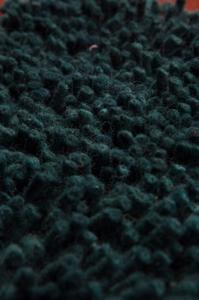 Name:Coral Shag Evergreen Rug, Item id:27_SE_Evergreen (Medium Image)