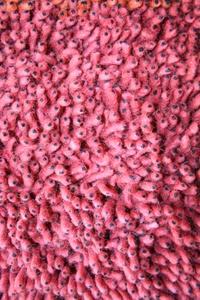 Name:Coral Shag Burgundy Rug, Item id:27_se-247 (Medium Image)