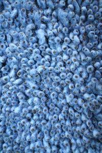 Name:Coral Shag Blue Rug, Item id:27_se-267 (Medium Image)