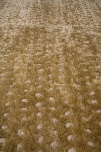 Name:Shiatsu Shag Beige Rug, Item id:27_msg_bge (Medium Image)