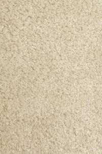 Annapurna 2170-4 Rug
