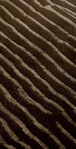 Name:Angelo bali 4852 85 Rug, Item id:5610_bali-4852-85 (Medium Image)