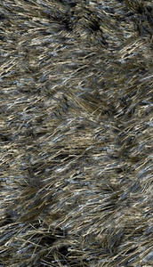 Angelo bergamo 5512 635 Shag Rug Thumbnail Image