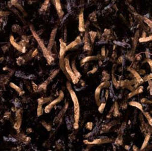 Name:Electra 3523-585 Rug, Item id:56d_electra_3523-585 (Thumbnail Image)