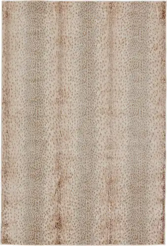 Jaipur Living Catalyst CTY13 Brown Power Loomed Synthetic Rug Product Image
