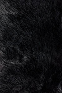 Name:Danso DA-04 HM Black Rug, Item id:7510_DANSDA-04BL00 (Medium Image)