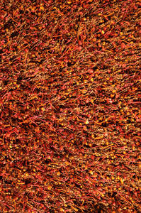 Name:Dion DS-01 HM Rust Shag Rug, Item id:7510_DIONDS-01RU00 (Medium Image)