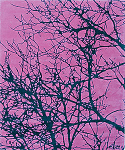 Name:Vision Fuschia, 8'6