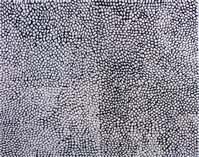 Broken Earth Black and White Rug Product Image