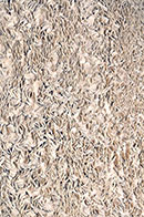 Tortellini Shag Sand 4' x 6' Rug Thumbnail Image