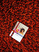 Quick Cart Image for Primo Coral 5' x 12' Shag Rug