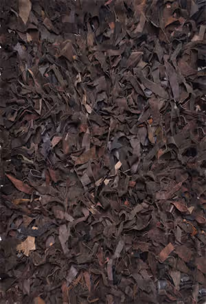 Name:Deluxe Leather Brown Shag, 2' x 3' Rug, Item id:clearance_Deluxe_Leather_Brown_Shag (Medium Image)