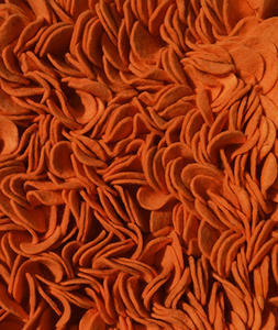 Name:Enoki Carrot Felt Shag Rug, Item id:na_enoki-carrot (Medium Image)