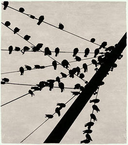 Flock Signature Rug Thumbnail Image