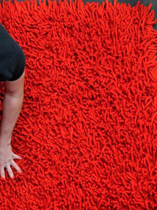 Name:Primo Coral Shag Rug, Item id:fltd_glr_primo_shag_choral (Medium Image)