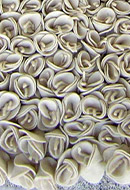 Rosa Bianca Ivory Shag Rug Thumbnail Image