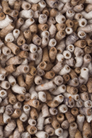 Sedona Doppio 178_770 Mix Terra Cotta Shag Rug Thumbnail Image