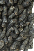 Sedona Solo 38_38 Smoky Charcoal Shag Rug Thumbnail Image