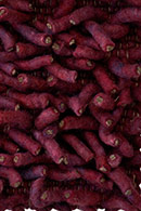 Sedona Solo 91_91 Desert Plum Rose Shag Rug Thumbnail Image