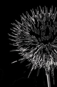 Name:Sola, Item id:glr_sola-02 (Thumbnail Image)
