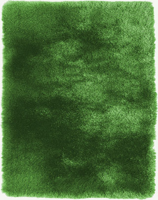 Quirk Lime Shag Rug Product Image