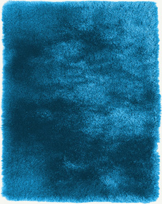 Quirk Turquoise Shag Rug Product Image