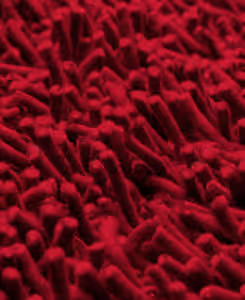 Primo Coral Burgundy Shag Rug Thumbnail Image