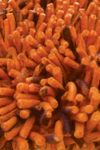Name:Primo Orange & Brown Shag Rug, Item id:primo_orange_brown (Medium Image)