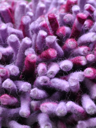 Name:Primo Violet Fuchsia Shag Rug, Item id:fltd_primo_violet_fuchsia1 (Medium Image)