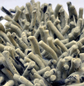 Primo Shag Pollock Duo Rug Thumbnail Image