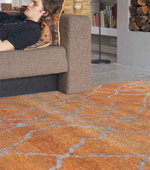 Contemporary Wool Orange rugs