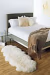 Contemporary Sheepskin area rugs