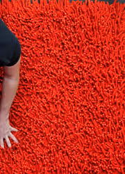 shag rug
