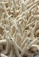 Molto Bella Strands of Silver Shag Rug