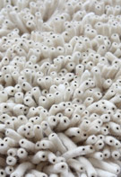 Molto Bella Cloud Race Shag Rug