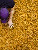 Primo Gold Shag Rug