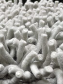 Primo Seafoam Shag Rug
