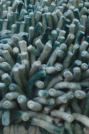 Primo Seafoam Aqua Shag Rug