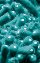 Primo Colors of the Sea Shag Rug