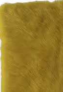 Yeti YET-1304 Yellow Green Shag Rug