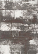 Contempo CPO3700 Rug