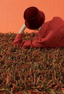 Seagrass Red Shag Rug