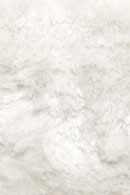 Ligne Pure Adore 153.1.110 Shag Rug