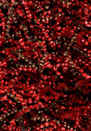 Ligne Pure Adore 153.2.300 Shag Rug