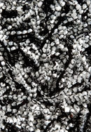 Ligne Pure Adore 153.2.901 Shag Rug