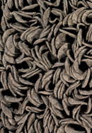 Ligne Pure Influence 169.001.900 Felt Shag Rug