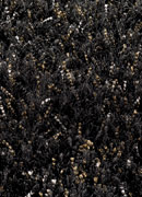 Ligne Pure Adore 176.1.900 Shag Rug