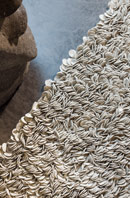 Ligne Pure Influence 169.001.910 Felt Shag Rug